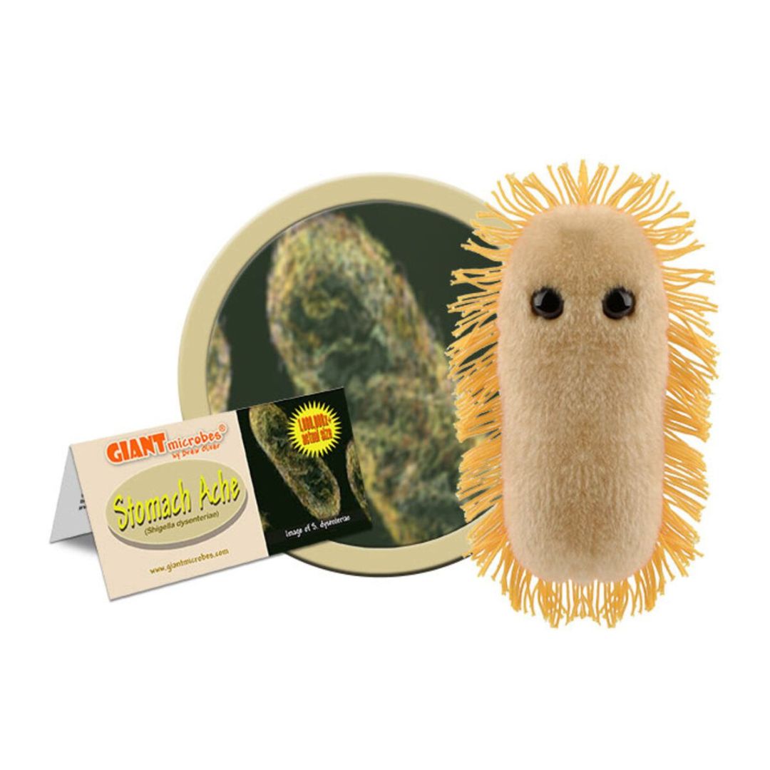 GIANTmicrobes magvärk plysch Shigella, mjuk och pedagogisk bakteriemodell som illustrerar orsaker till magproblem.