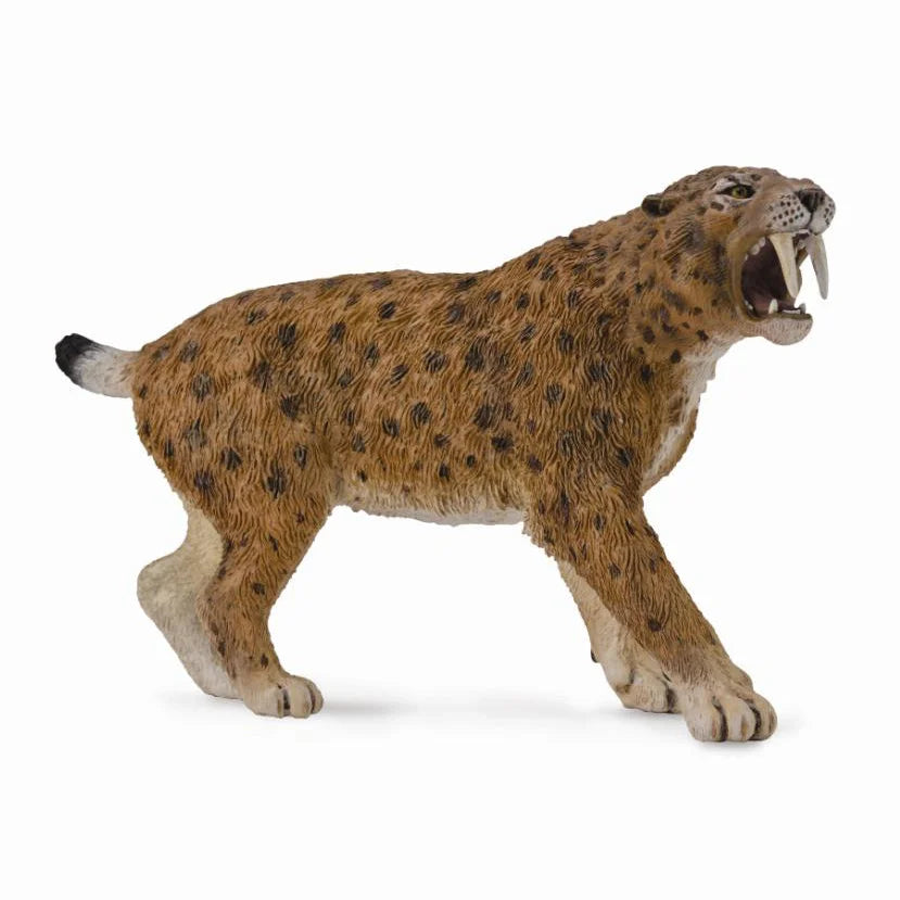 CollectA - Smilodon