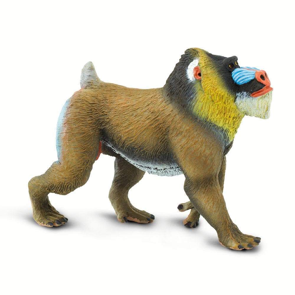 Safari Ltd - Mandrill