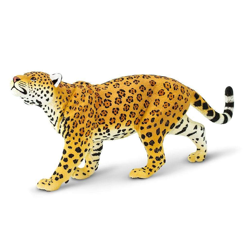 Jaguar (Scale: 1:6)