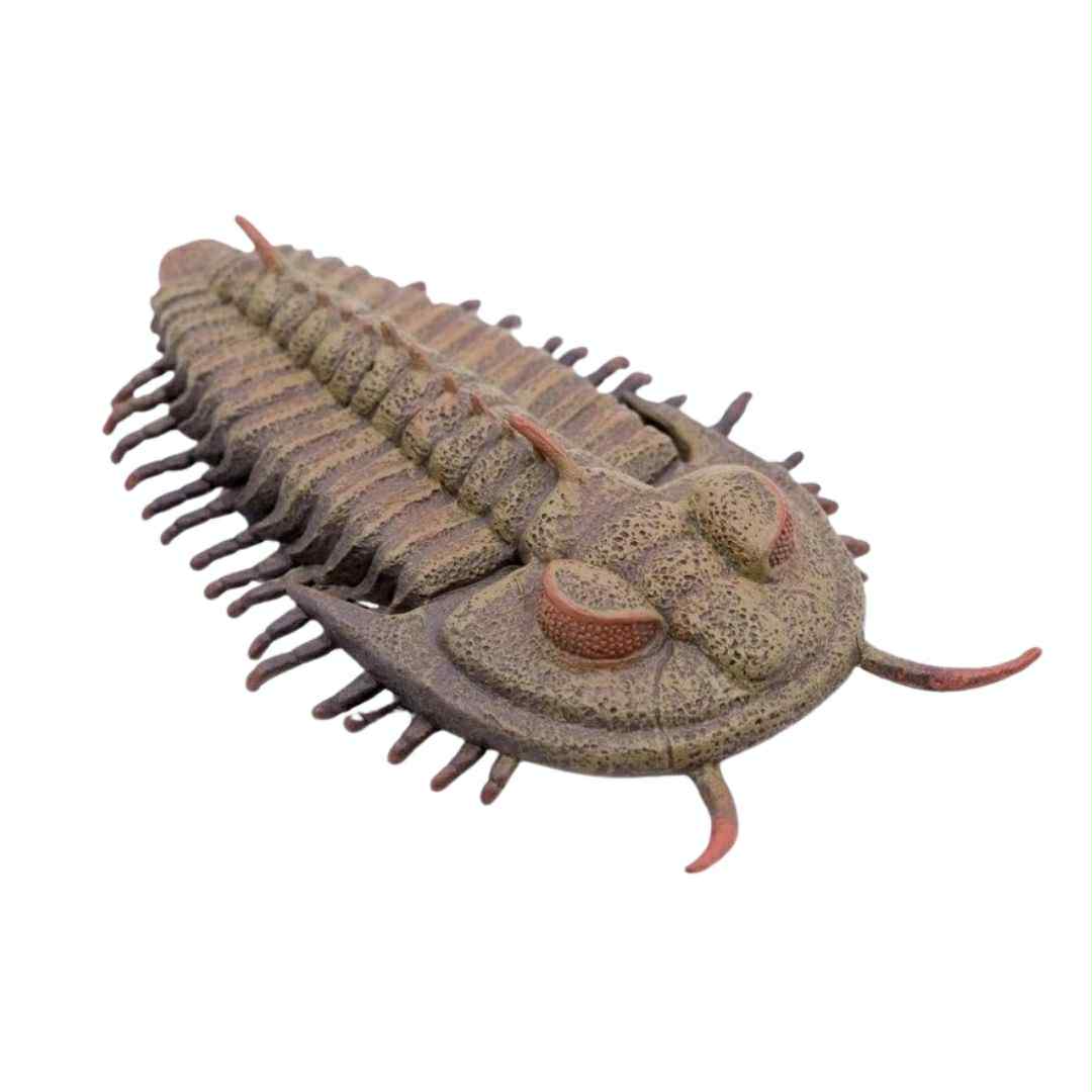 CollectA - Trilobit (Redlichia rex)