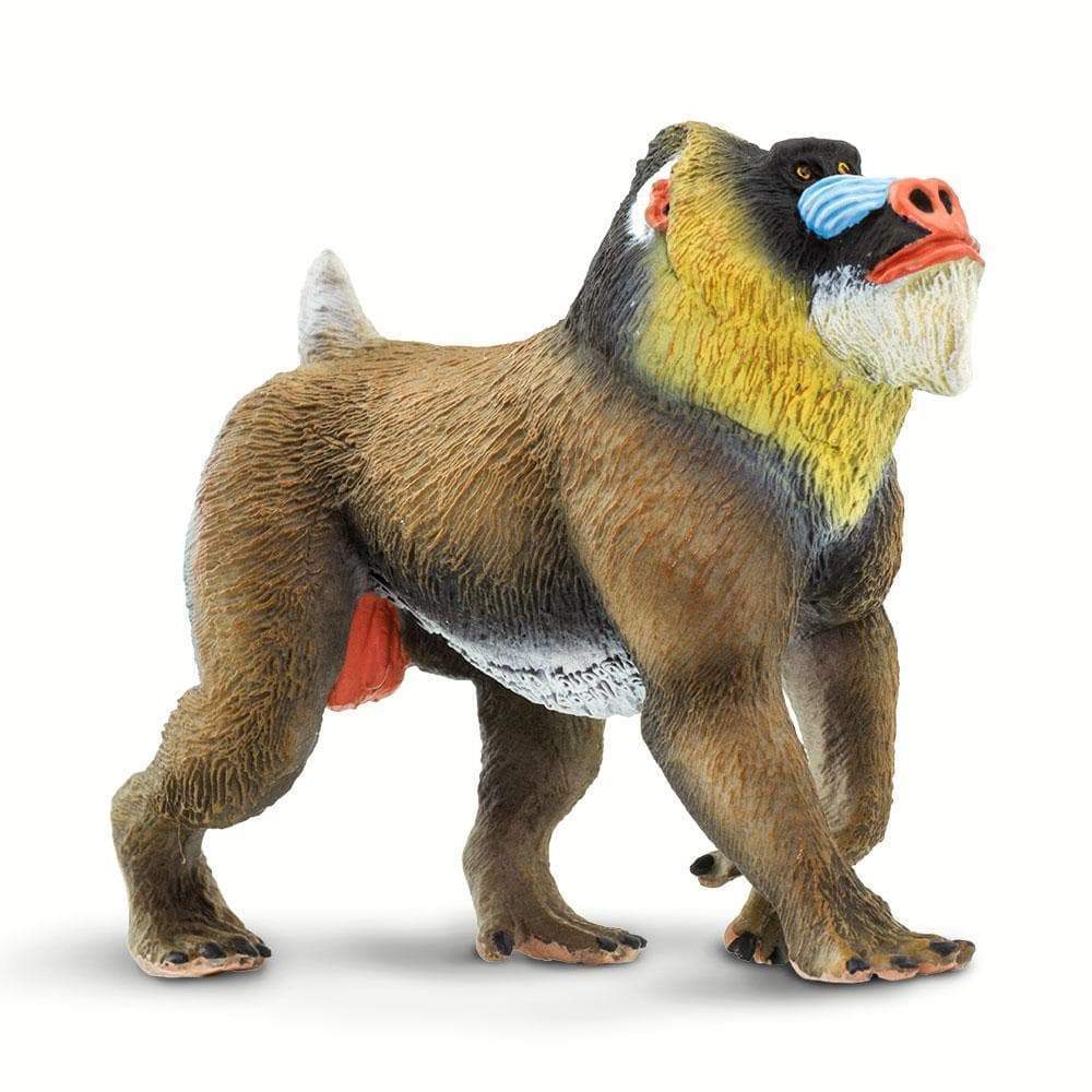 Safari Ltd - Mandrill