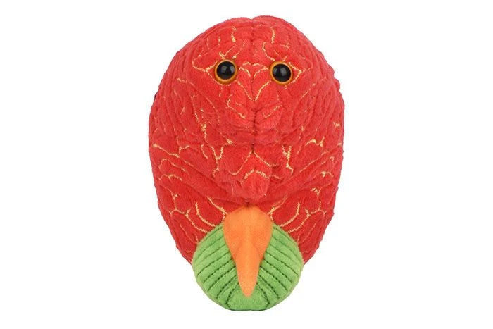 GIANTmicrobes - ADHD