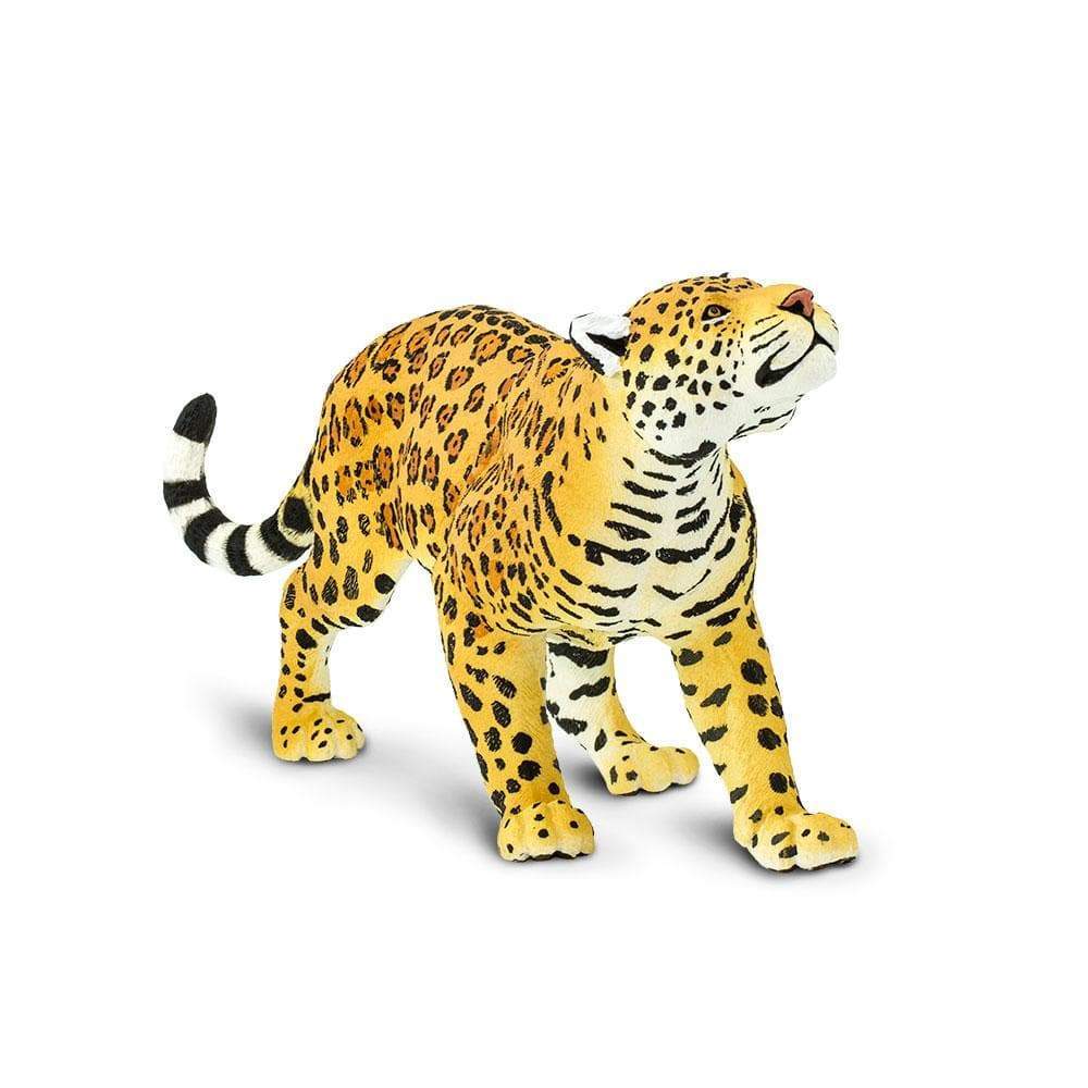 Jaguar (Scale: 1:6)