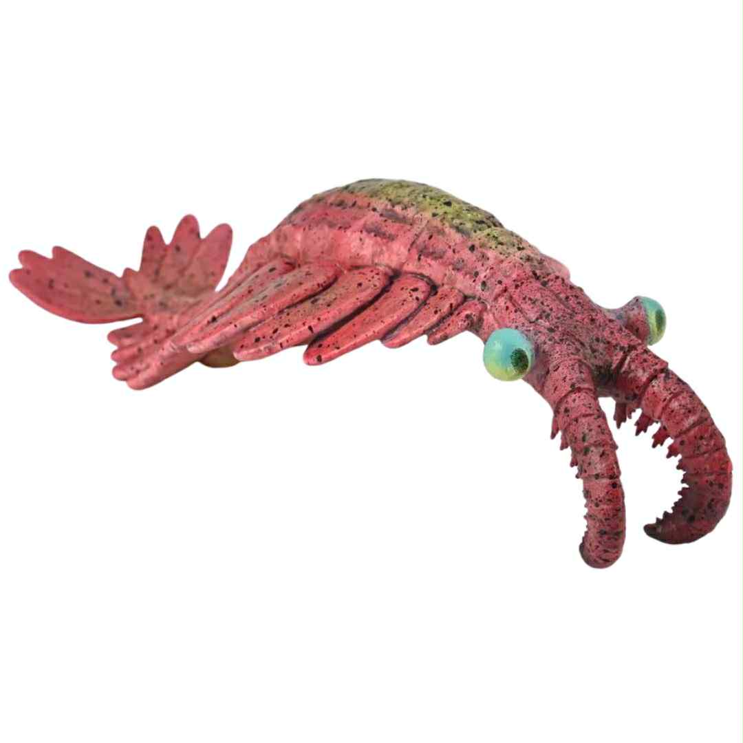 CollectA - Anomalocaris