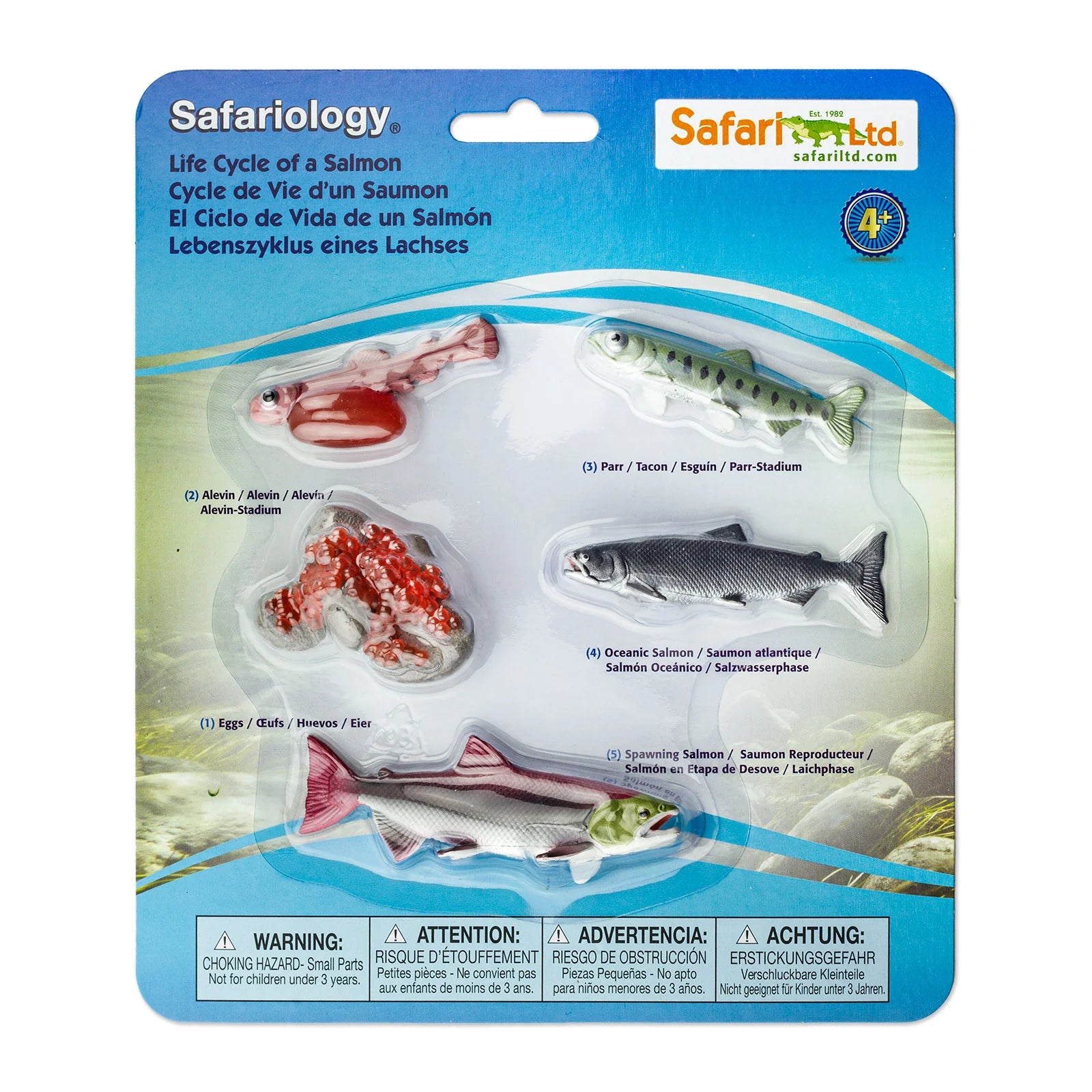 Safari Ltd livscykel av lax med fem figurer som visar utvecklingen från rom till vuxen fisk i Safariology-serien.