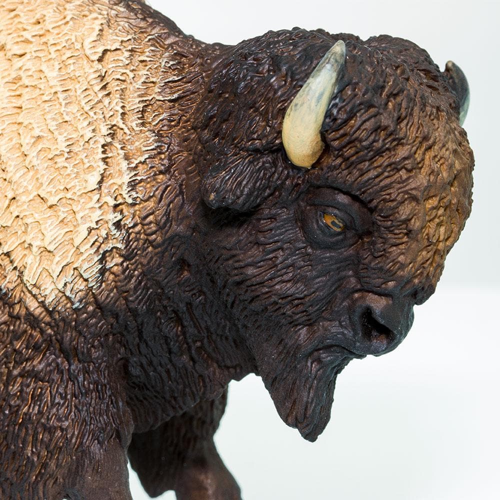 Safari Ltd - Bison