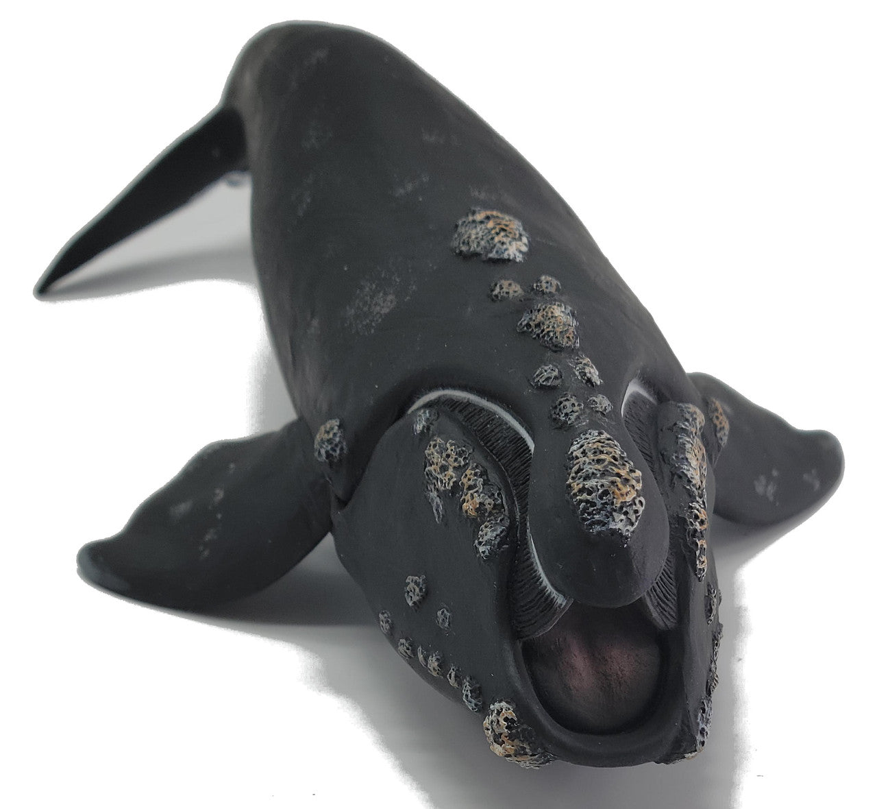 CollectA - Stillahavsnordkapare (Eubalaena, Right Whale)