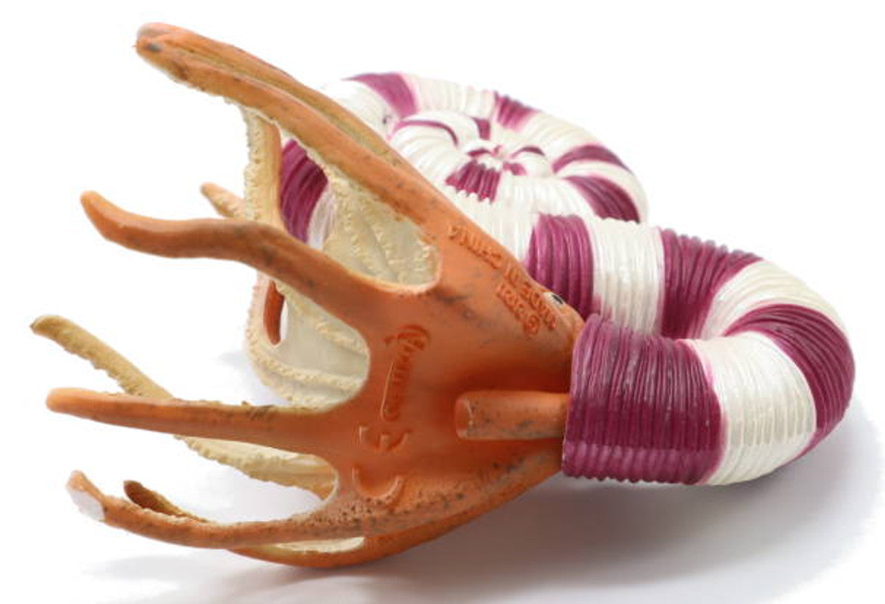 CollectA - Pravitoceras