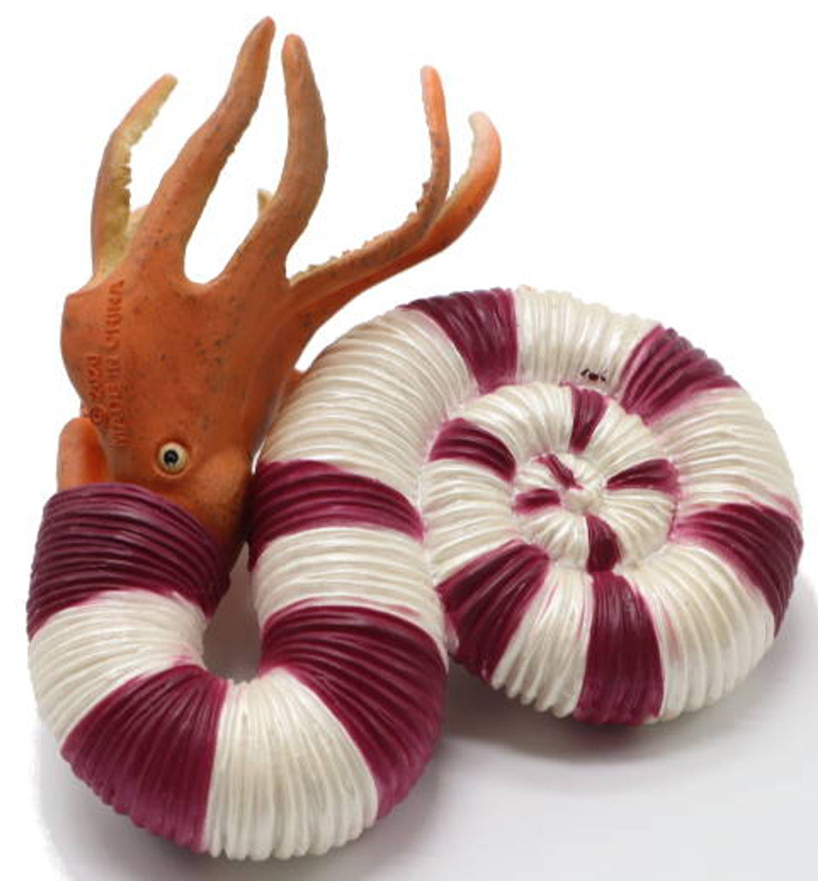 CollectA - Pravitoceras