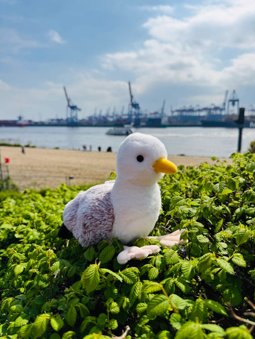 Hermann Teddy - Fiskmås Gosedjur
