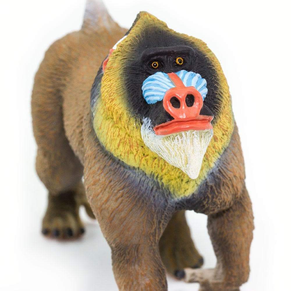 Safari Ltd - Mandrill