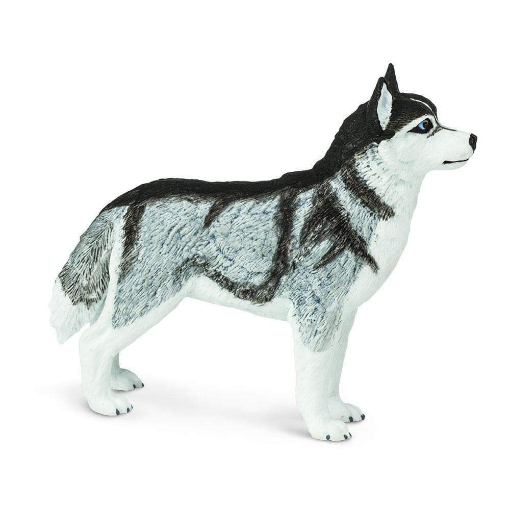 Safari Ltd - Siberian Husky