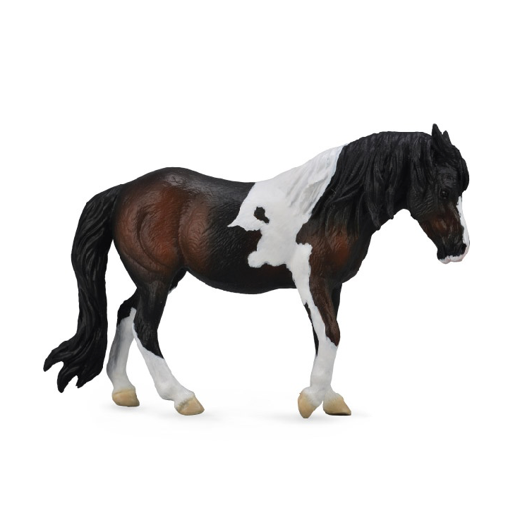Dartmoor Hill Mare - Bay