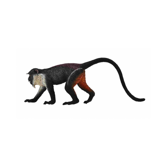 CollectA - Diana Monkey