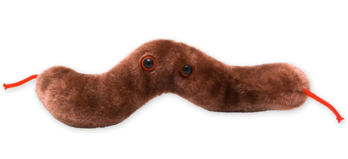 GIANTmicrobes – Diarré Plysch