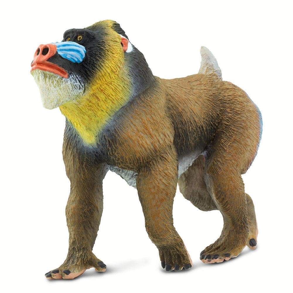 Safari Ltd - Mandrill