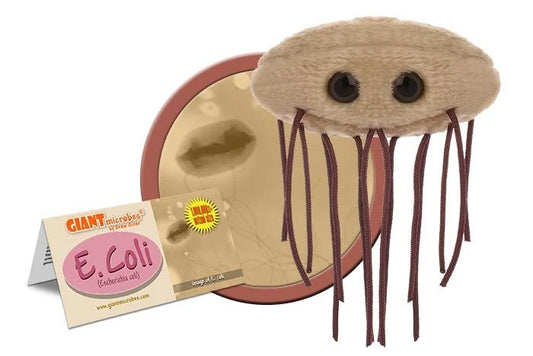 GIANTmicrobes - E. coli (Kolibakterie)