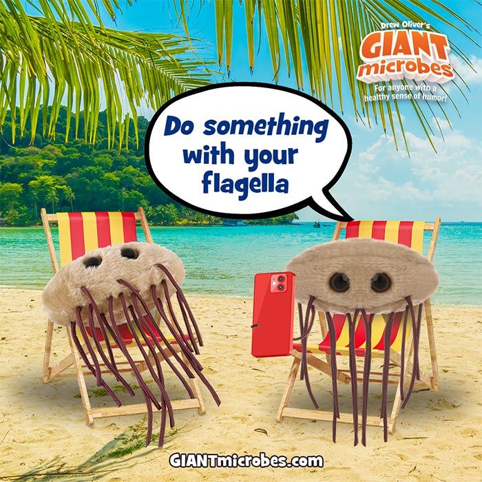 GIANTmicrobes - E. coli (Kolibakterie)