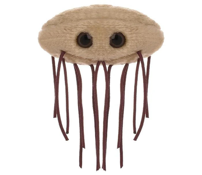 GIANTmicrobes - E. coli (Kolibakterie)