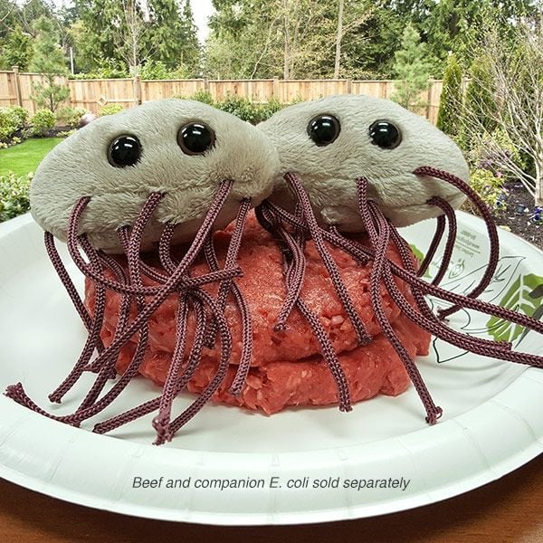GIANTmicrobes - E. coli (Kolibakterie)