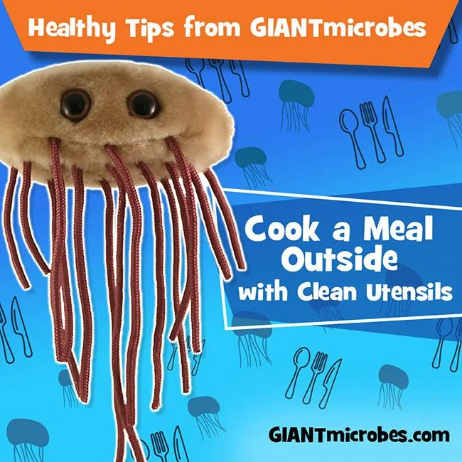 GIANTmicrobes - E. coli (Kolibakterie)