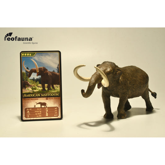 Eofauna - American mastodon (Mammut americanum)