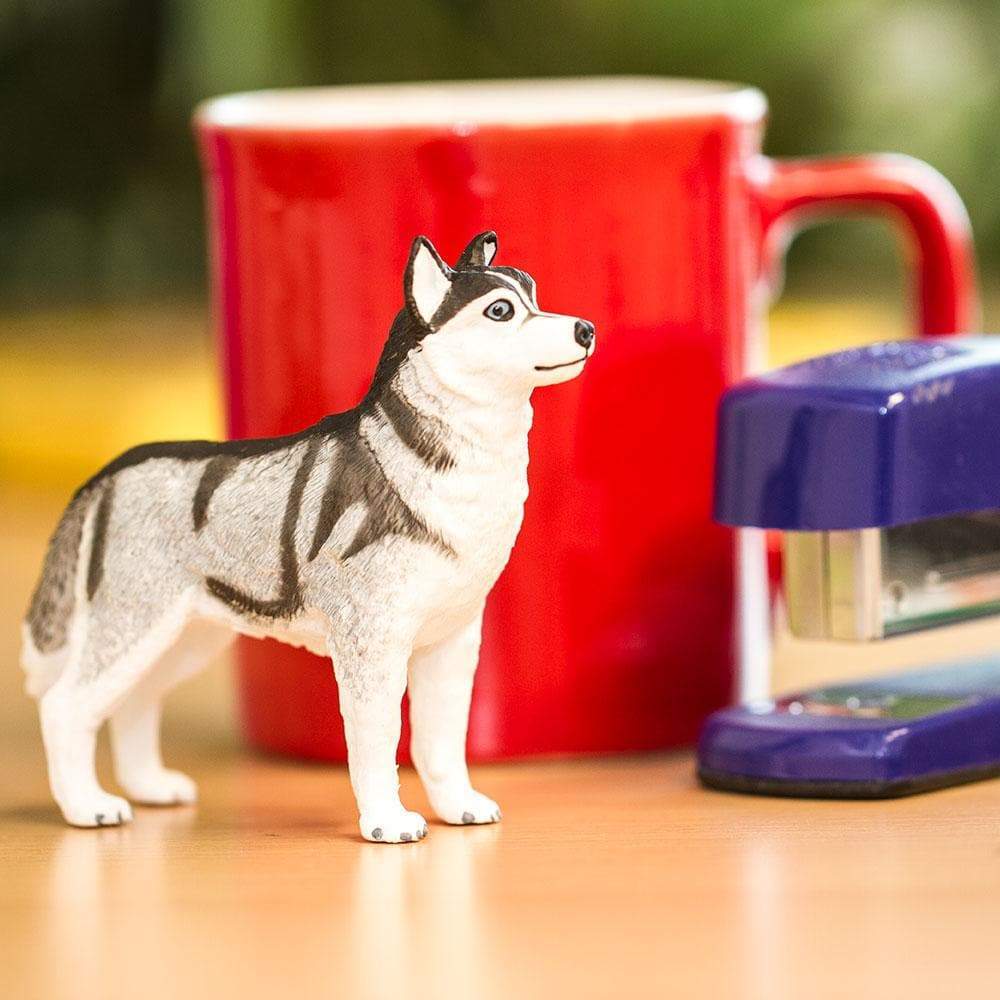 Safari Ltd - Siberian Husky