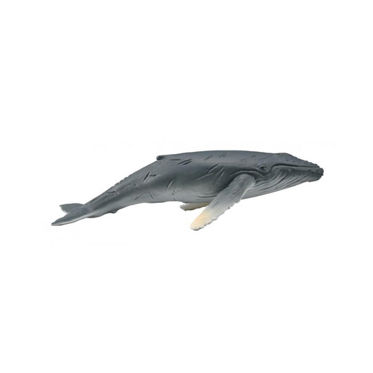 CollectA - Knölval kalv