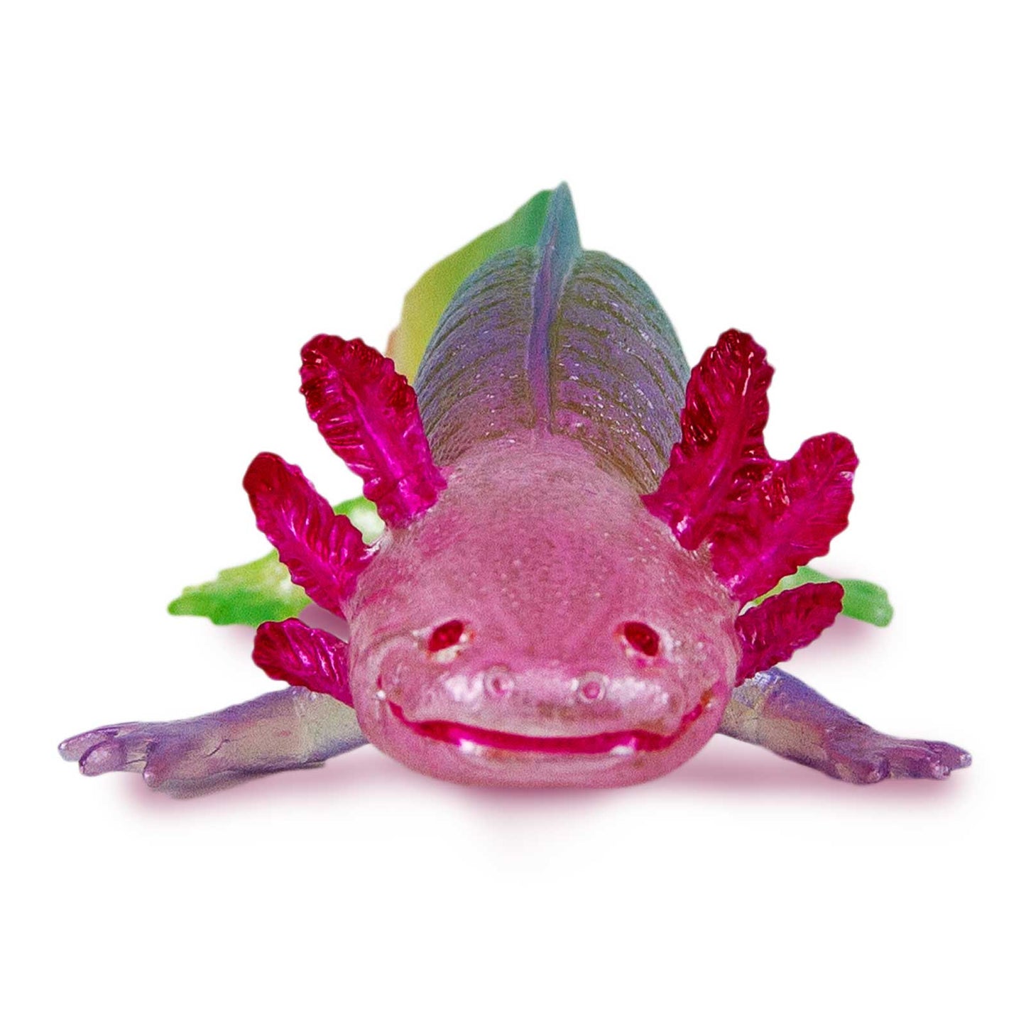 Safari Ltd - Axolotl (Regnbåge)