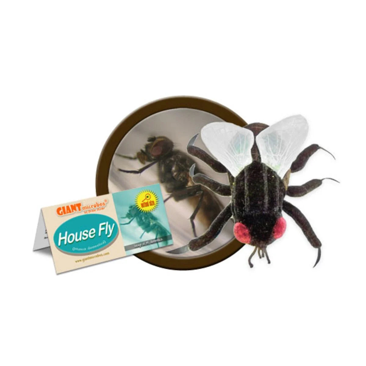 ”Plyschfigur av GIANTmicrobes husfluga Musca domestica med silvervingar och glimmande ögon, lärorisk och humoristisk leksak.”
