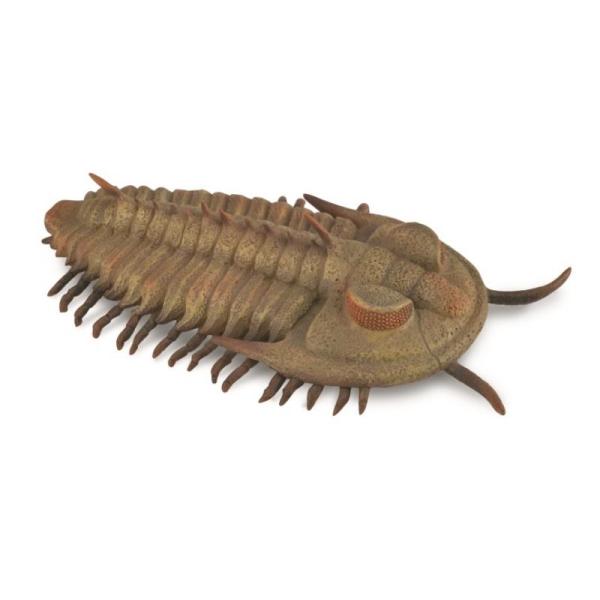 CollectA - Trilobit (Redlichia rex)