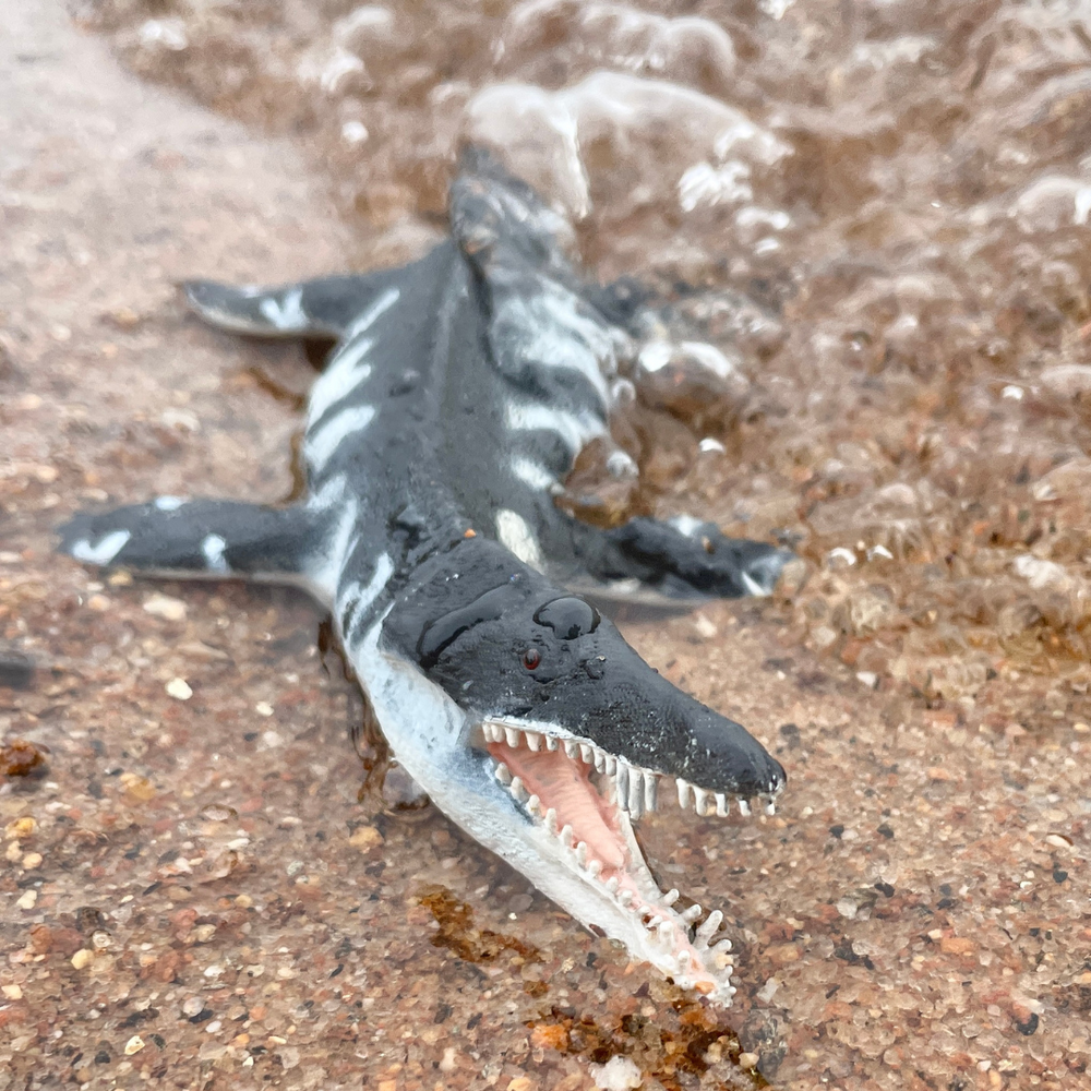Safari Ltd - Liopleurodon