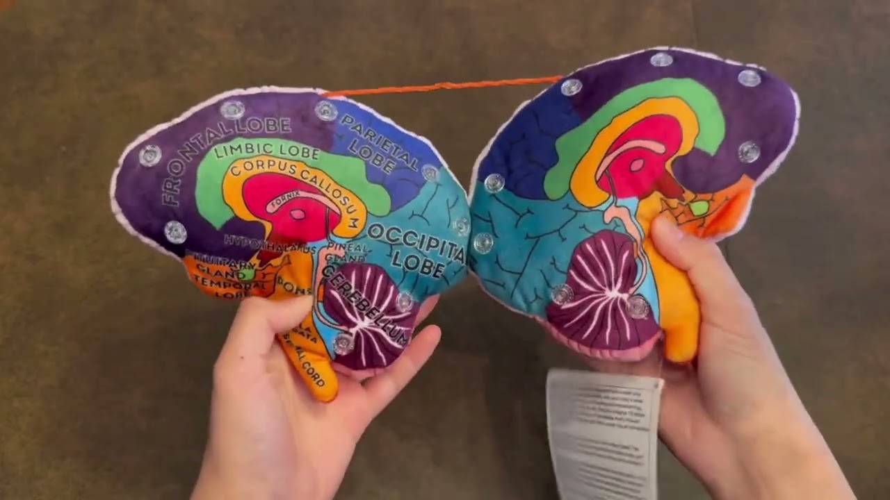 GIANTmicrobes – Hjärnmodell Plysch