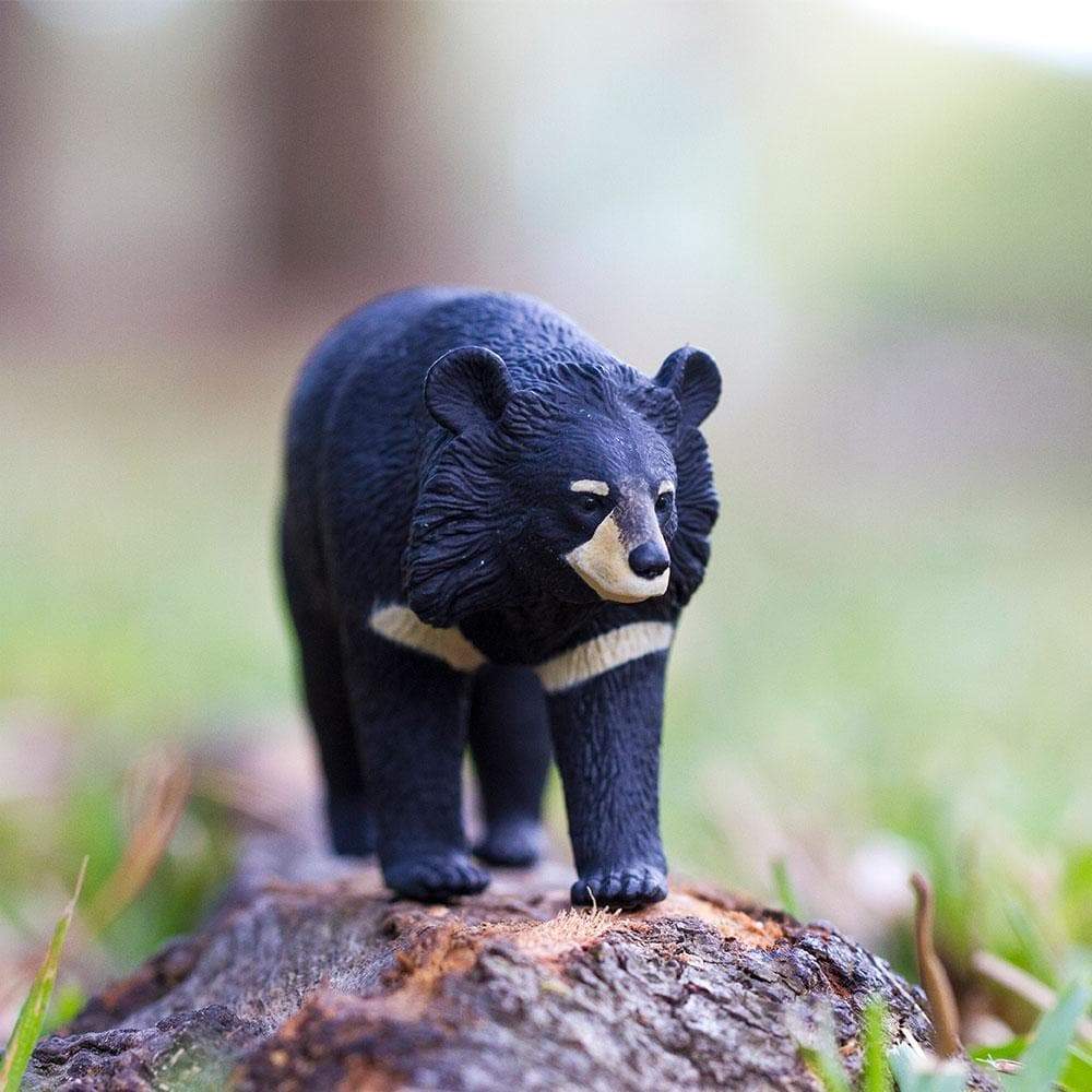 Safari Ltd - Kragbjörn (Asian black bear)
