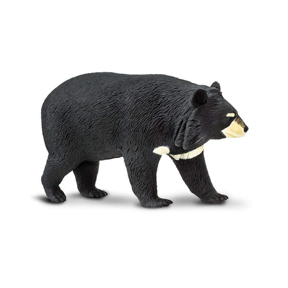 Safari Ltd - Kragbjörn (Asian black bear)