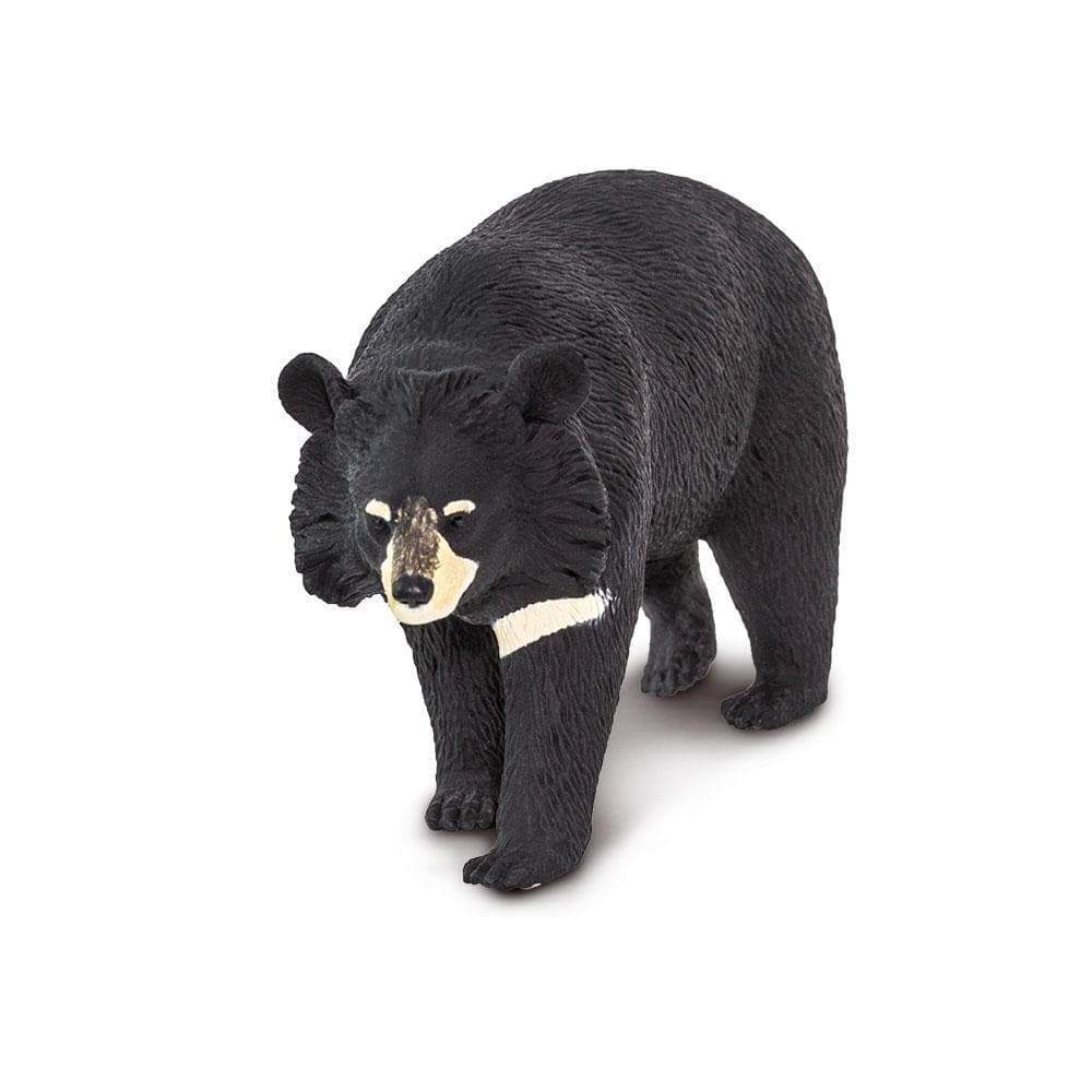 Safari Ltd - Kragbjörn (Asian black bear)