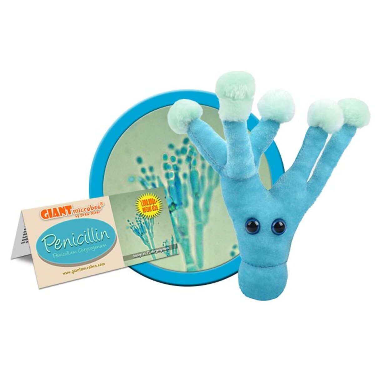 GIANTmicrobes - Penicillin (Penicillium Chrysogenum) Plysch