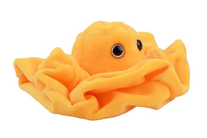 GIANTmicrobes – Plasma (Blood plasma)
