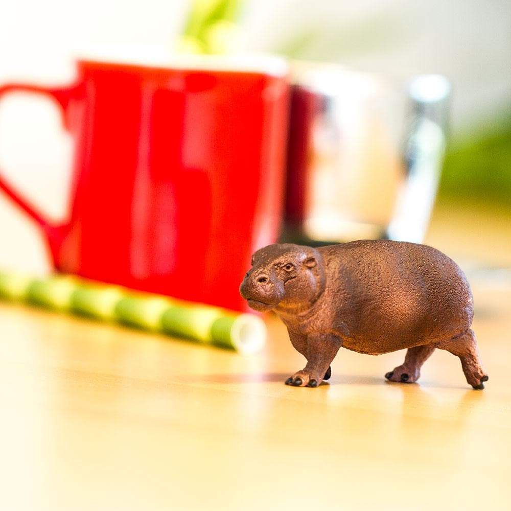 Safari Ltd - Dvärgflodhäst