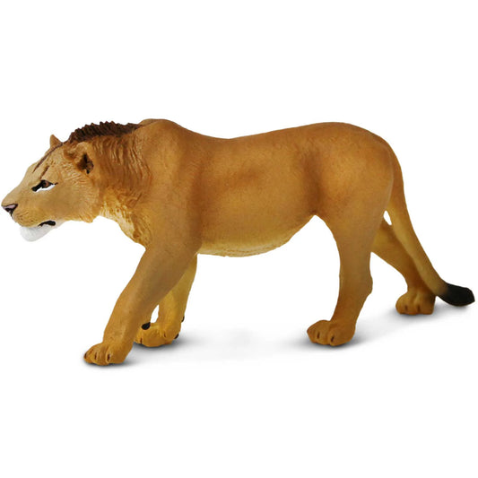 Safari Ltd Ung lejonhane med begynnande man, handmålad och naturtrogen figur från Wild Safari® Wildlife Collection.