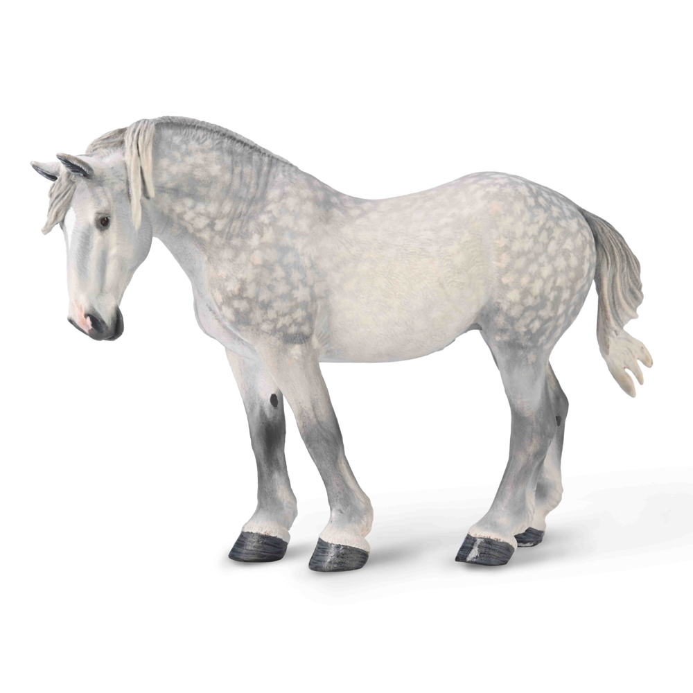CollectA - Percheron sto