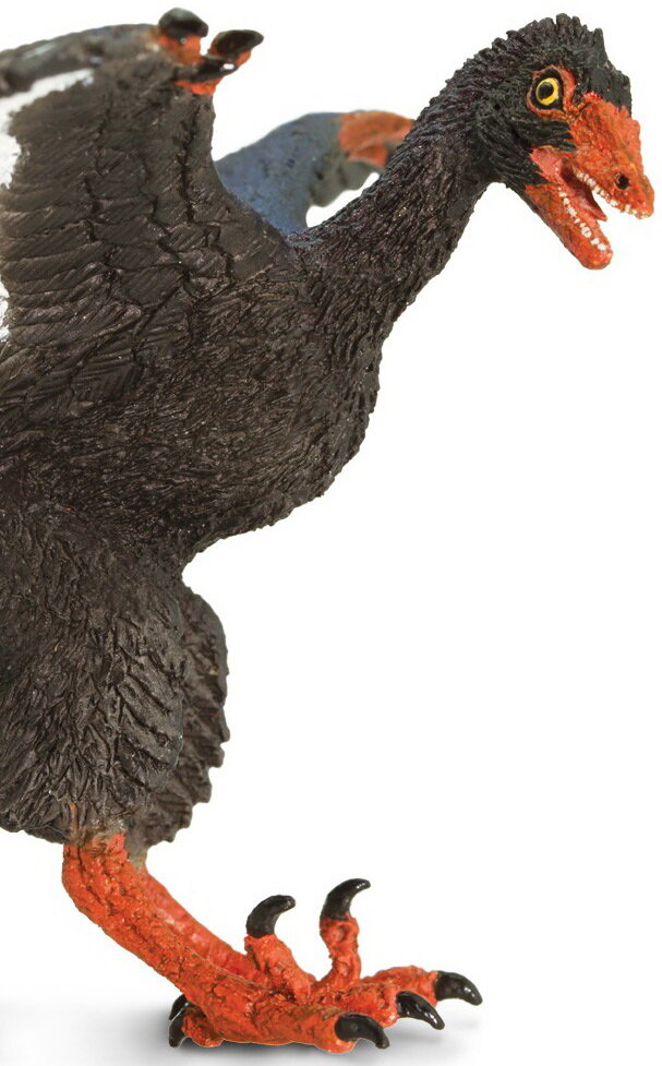 Safari Ltd - Archaeopteryx