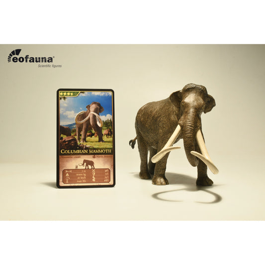 Eofauna - Columbia mammoth (Mammuthus columbi)