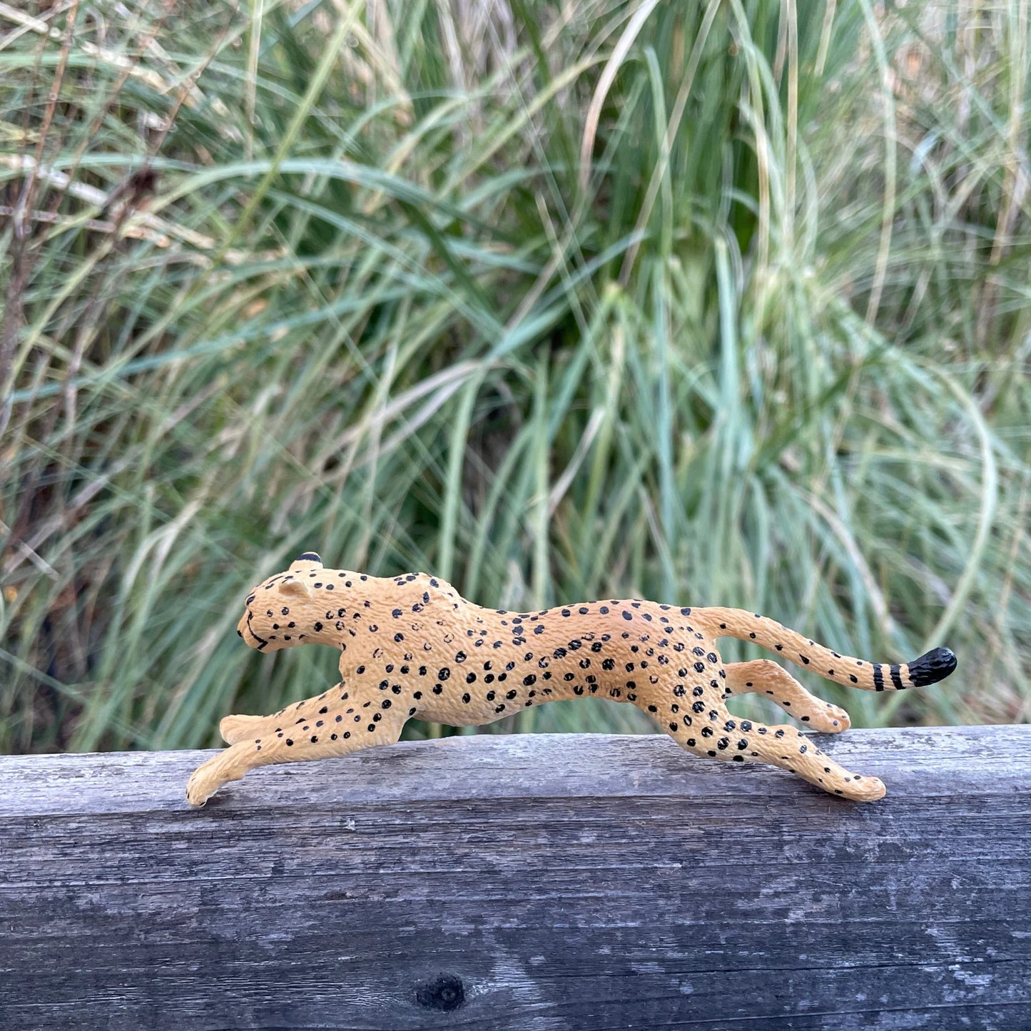 Safari Ltd - Gepard (Springande)