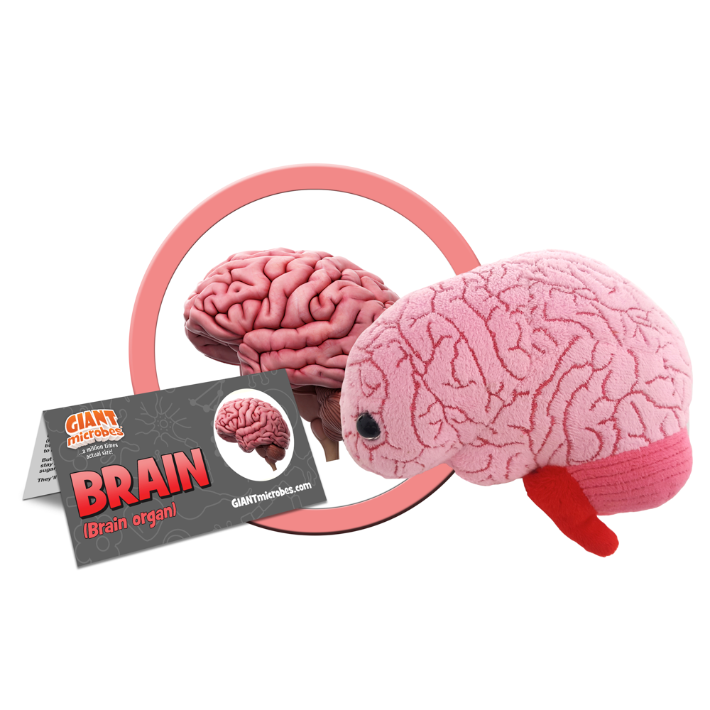 GIANTmicrobes - Hjärna