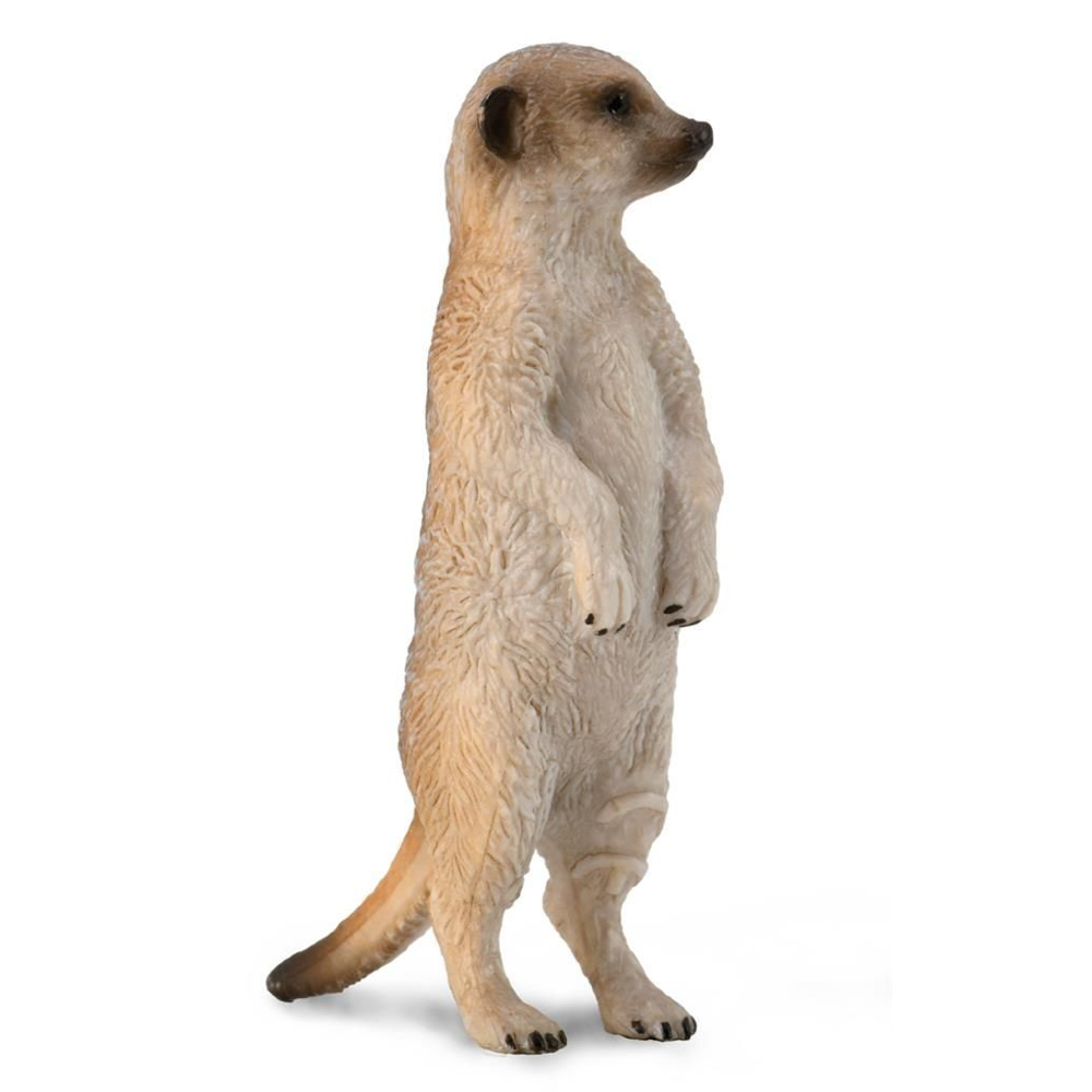 CollectA - Surikat