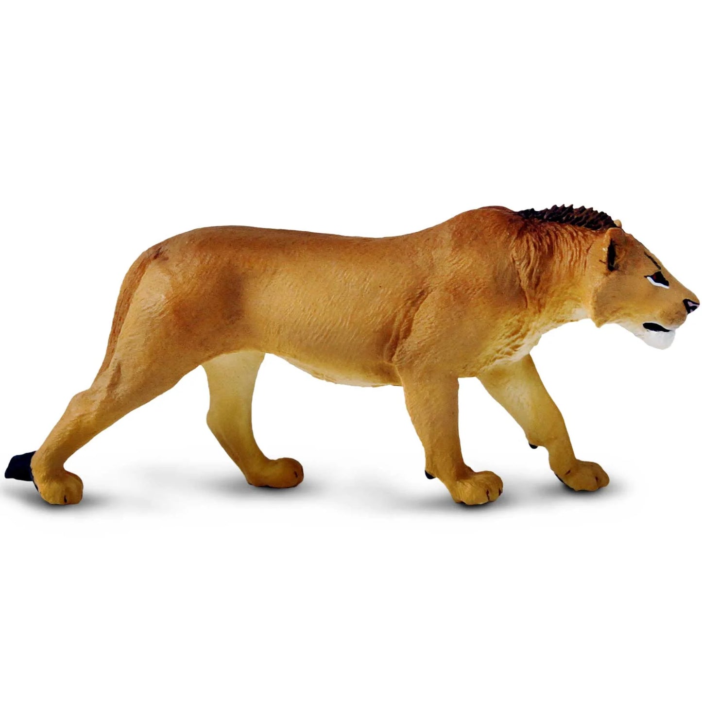 Safari Ltd - Ung lejonhane