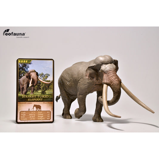 Eofauna - Straight-tusked Elephant