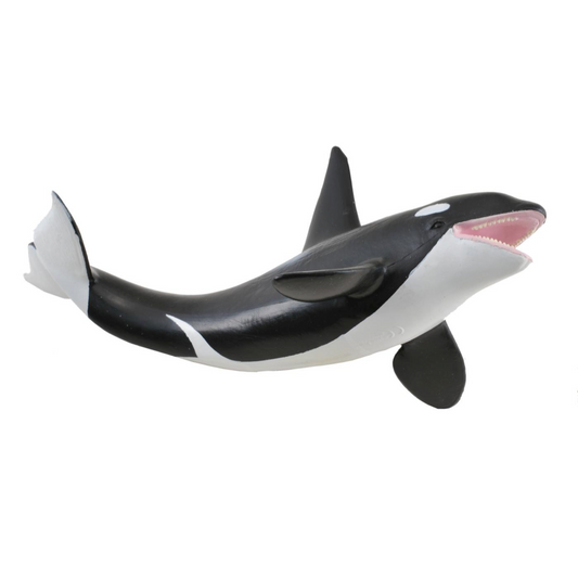 Orca